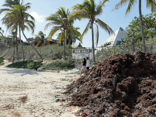 Terreno Con Frente De Playa En El Corazón De Playa Del Carmen