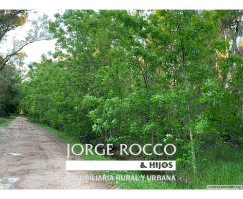Lote En Venta En Barrio Bosquecitos En Brandsen. 1.600 M2