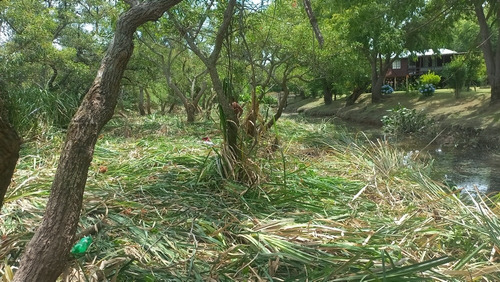 Imagen 12 de 13 de Terreno En El Delta Dos Hectáreas