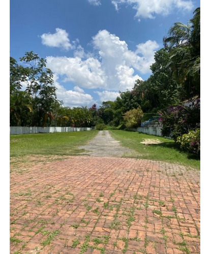 Alquilo Terreno 15.000m2 La Guairita 6011
