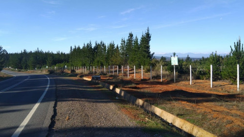 Parcelas 5000 M2, 100% Planas, Rol Propio. Alto Colorado!!