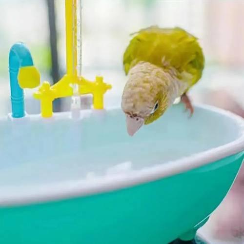 Ducha Automática Para Pájaros Y Bañera Para Loros