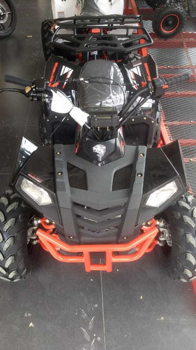 Cuatrimoto Polar 110 Motor 4t