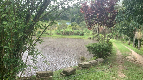 Imagem 15 de 19 de Chácara À Venda Perfeita Para Moradia Com Lago Pomar 20.000 M²