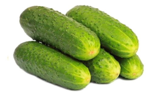 Semillas De Pepinillo - Pepino De Encurtir - Huerta Premium