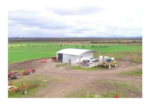 Imagen 8 de 14 de Campo En Venta En Nogoyá Entre Rios