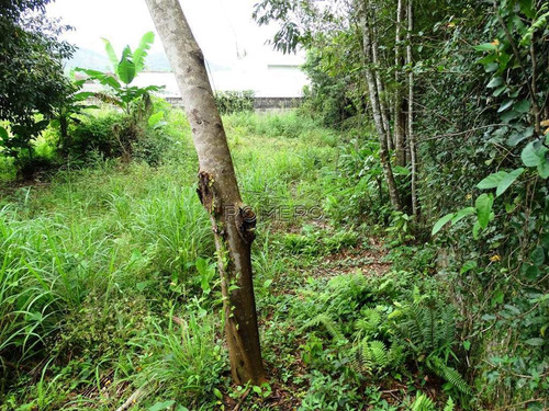 Imagem 4 de 9 de Terreno, Tabatinga, Caraguatatuba - R$ 700 Mil, Cod: 1139 - V1139