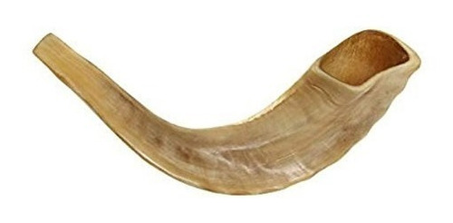 Kosher Odorless Polished Shofar | Genuine Natural Rams Horn