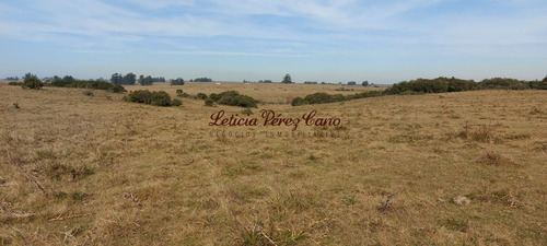 Imagen 9 de 23 de Venta De Chacra 19 Has En San Carlos, Maldonado