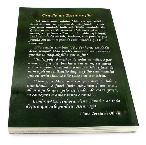 Livro Tratado Da Verdadeira Devoção A Santíssima Virgem
