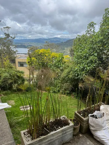 Casa En Venta En La Calera. Cod V1065028