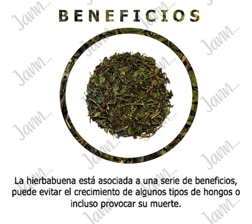 Hierbabuena Planta Medicinal 150g.