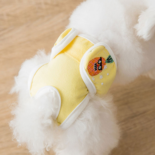 Pañales Reutilizables Y Lavables Para Perros: Fisiológicos A