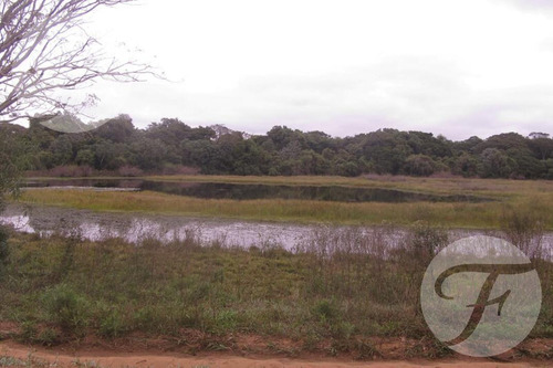 Campo Mixto En Venta - 2.270 Ha En Corrientes Con Gran Potencial Productivo