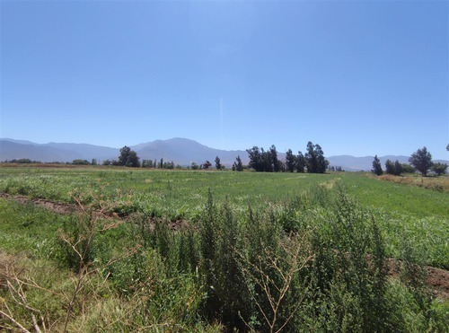 Terrenos Agrícolas Con Agua Venta María Pinto Curacavi