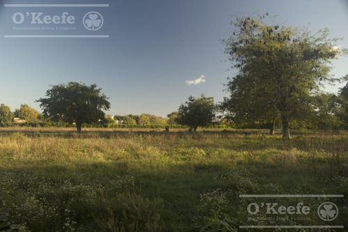 Imagen 13 de 24 de Lote En Venta En Las Moras De Hudson, En Pozo Oportunidad De Inversión!