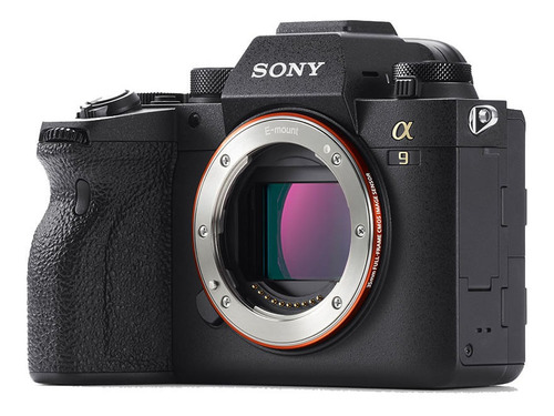 Camara Digital Mirrorless Sony Ilce-9m2 A9 Ii Color Negro