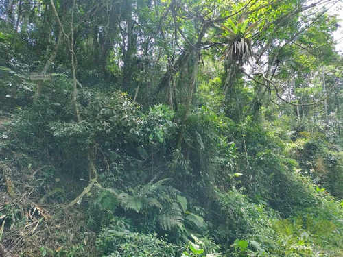 Imagem 3 de 8 de Terreno Para Venda Em Itapecerica Da Serra, Jardim Renata - 641_2-1449011