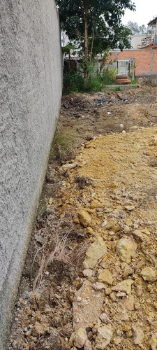 Imagem 6 de 7 de Terreno