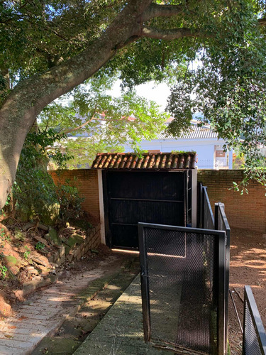 Sobrado Zona Sul Com 2 Apartamentos, Terraço, Lareira,pomar