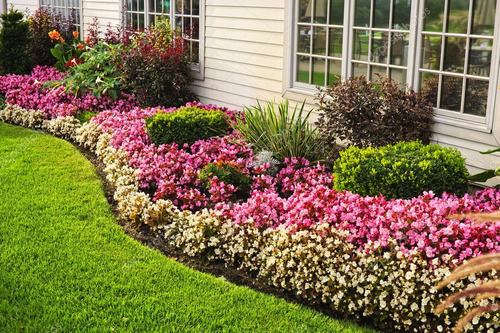 Paisajismo, Jardineria, Poda Y Tala De Arboles