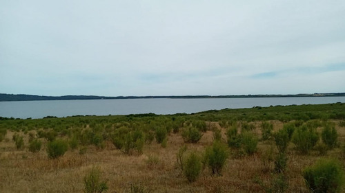 Imagen 5 de 5 de Sobre La Laguna Del Sauce!!!