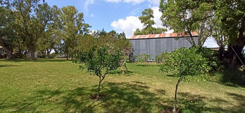 Imagen 30 de 30 de Campo En Venta