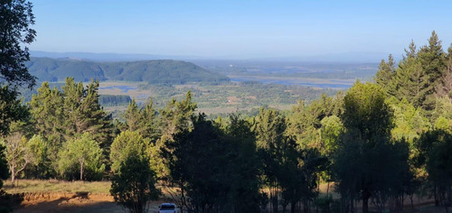Parcela 5000 M2 En Potrero Alto, Valdivia.