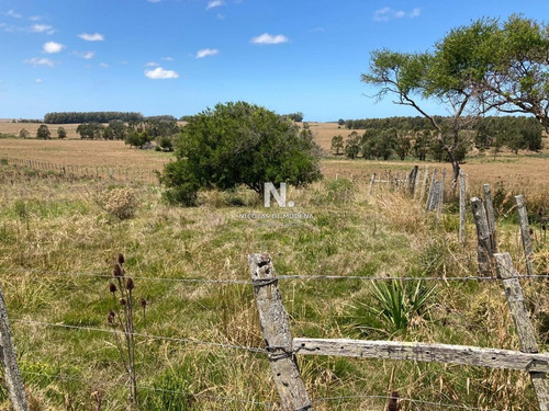 Campo En Venta De 10 Hectáreas.- Ref: 4003