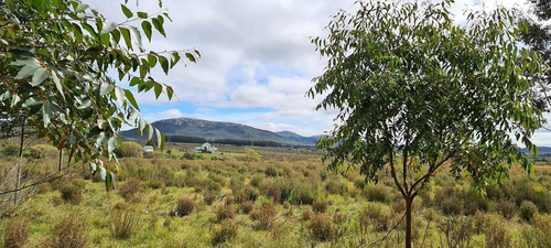 Imagen 1 de 16 de Chacra En Zona Del Betel, Sierra De Las Animas