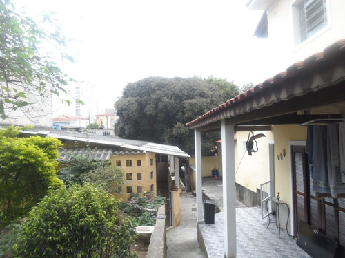 Imagem 20 de 23 de Excelente Terreno Na Avenida Angelina Área Com 20 X 58 - Reo185068