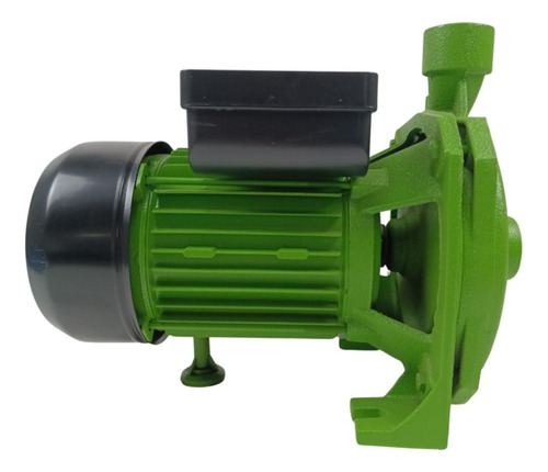 Bomba Centrifuga De 1hp Forest & Garden  - Bc610