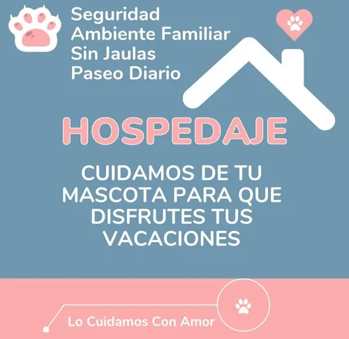 Hospedaje Para Gatos