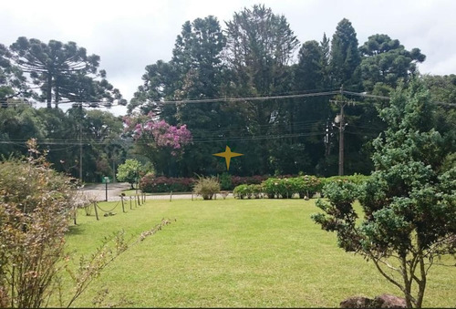 Imagem 2 de 5 de Terreno Residencial E Comercial - 627