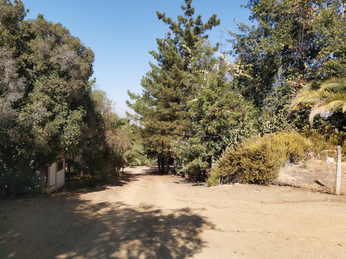 Sector Canelos De Miraflores, 24 Hectáreas