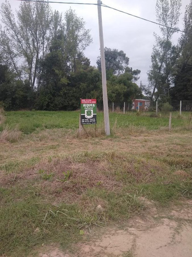 Imagen 1 de 3 de Terreno Sobre Au 8 - Exaltacion De La Cruz