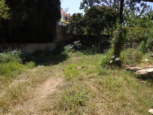 Imagem 8 de 13 de Terreno À Venda, 1025 M² Por R$ 1.500.000,00 - Horto Florestal - São Paulo/sp - Te0048