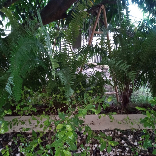 Vendo Lujosa Casa En La Urbanización Thomen En Santiago De Los Caballeros, República Dominicana
