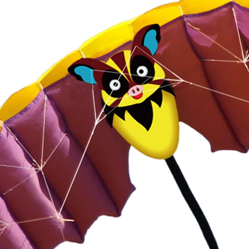 Frameless Kite Com 30m Kites String Flying Kites Parafoil
