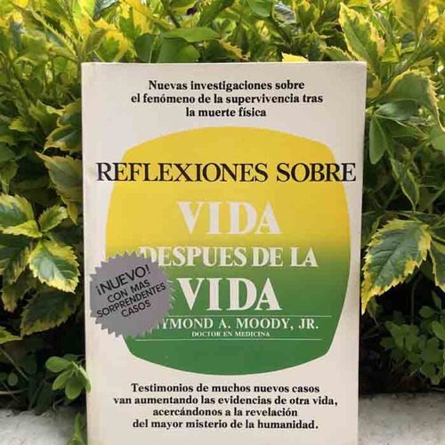 Libro Reflexiones Sobre Vida Después De La Vida