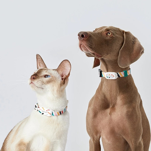 Collar Rastreador Gps Inteligente Para Mascotas