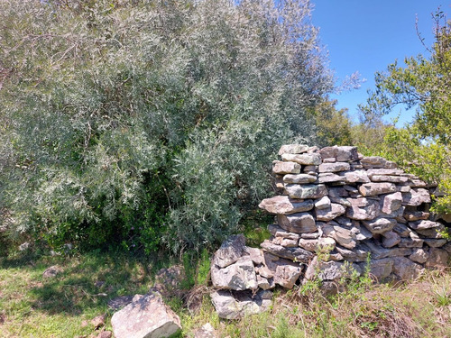 88hás De Campo Serrano Sierras Del Carapé