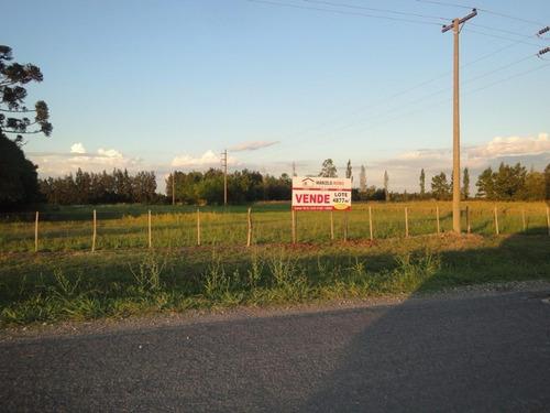 Imagen 3 de 4 de Lotes En Ruta Panamericana, San Pedro