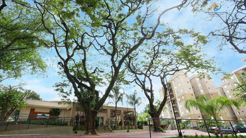 Imagem 4 de 19 de Apartamento-padrao-para-venda-em-parque-fazendinha-campinas-sp - 186