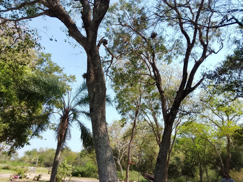 Quinta