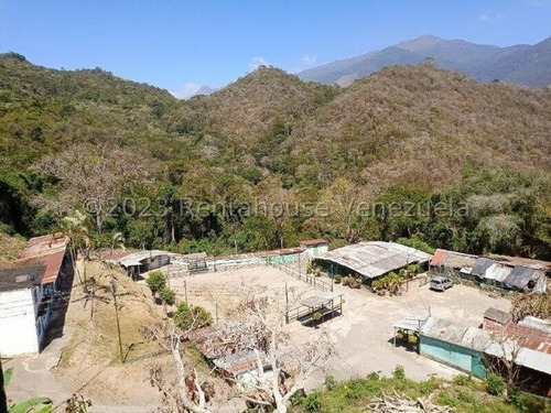 Imagen 9 de 15 de En Venta Hacienda (caballeriza) En Parque Caiza