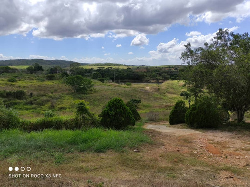 Imagen 22 de 28 de Venta De Hermosa Finca En El Estado Lara