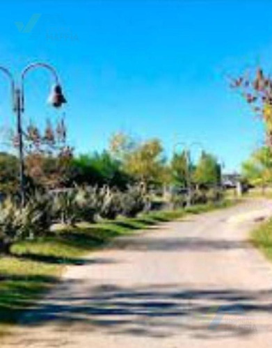 Imagen 20 de 20 de Venta De Terreno En Santa Isabel