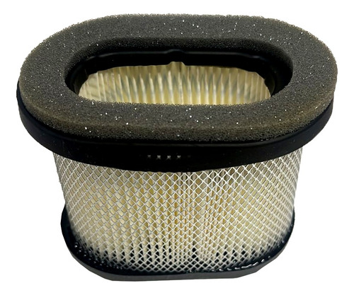 Filtro De Aire 697029 Tractor Podadora Briggs & Stratton