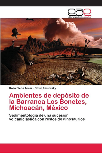 Libro: Ambientes De Depósito De La Barranca Los Bonetes, Mic